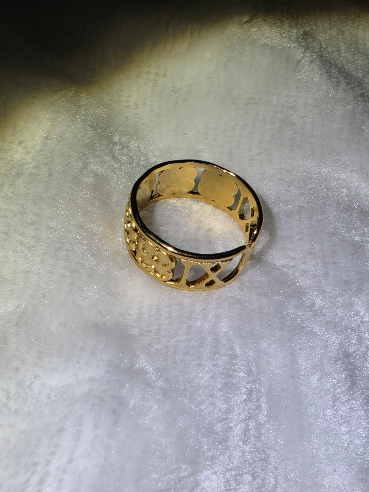 Daily ring 2