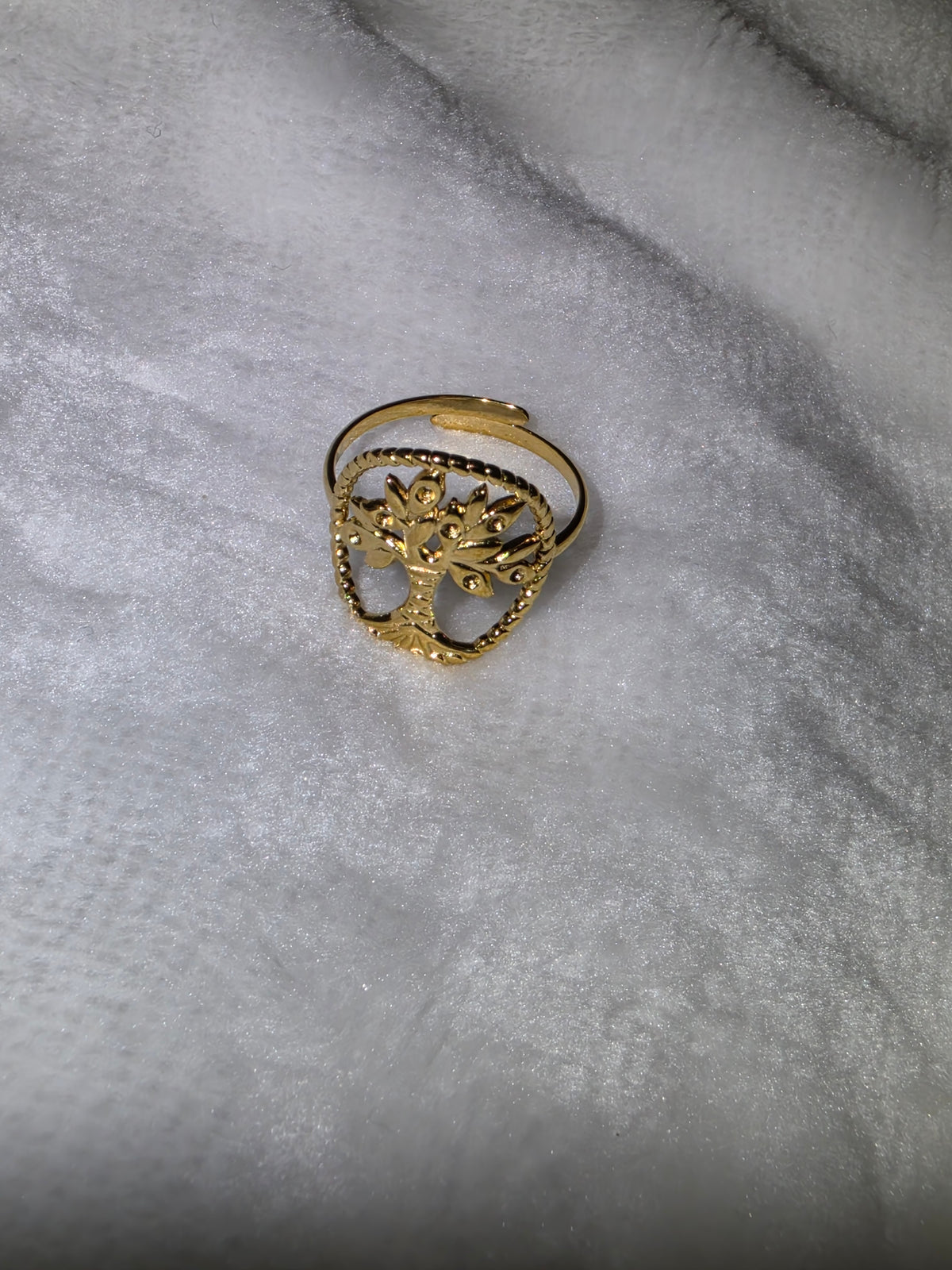 Geometric rings