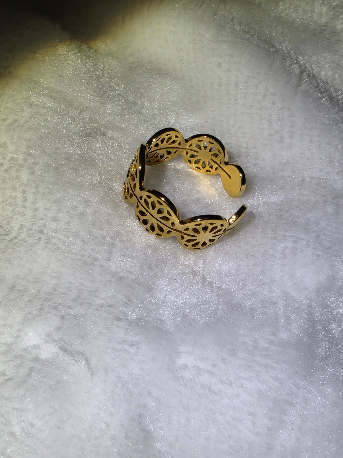 Daily ring 2